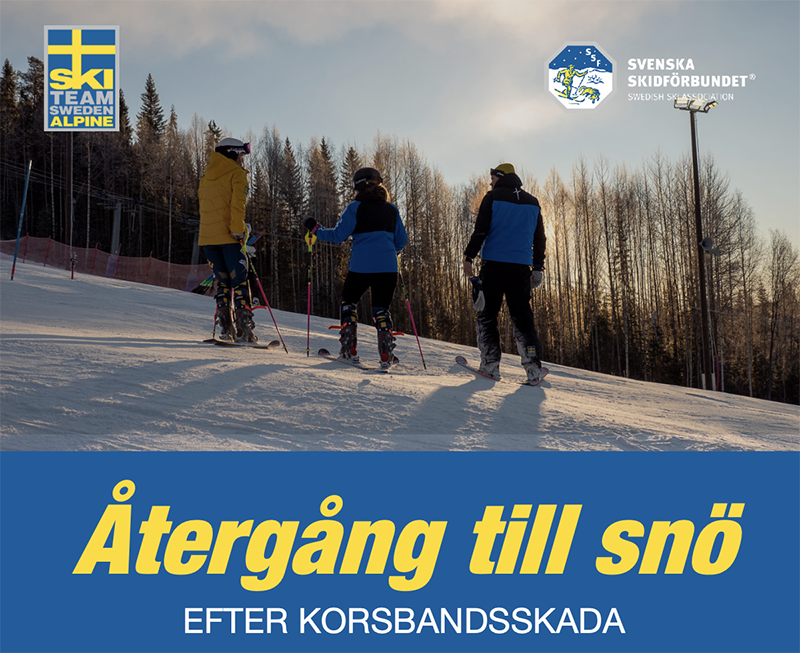 En bild